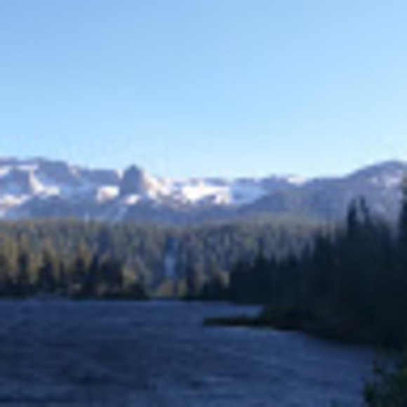 Meet your Posher, Krystal - Picture 1 of 1